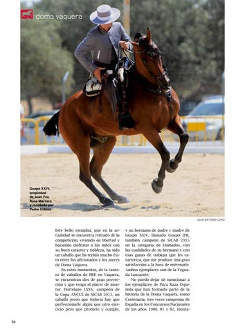 Page 54