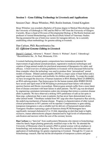 including reference in essay format