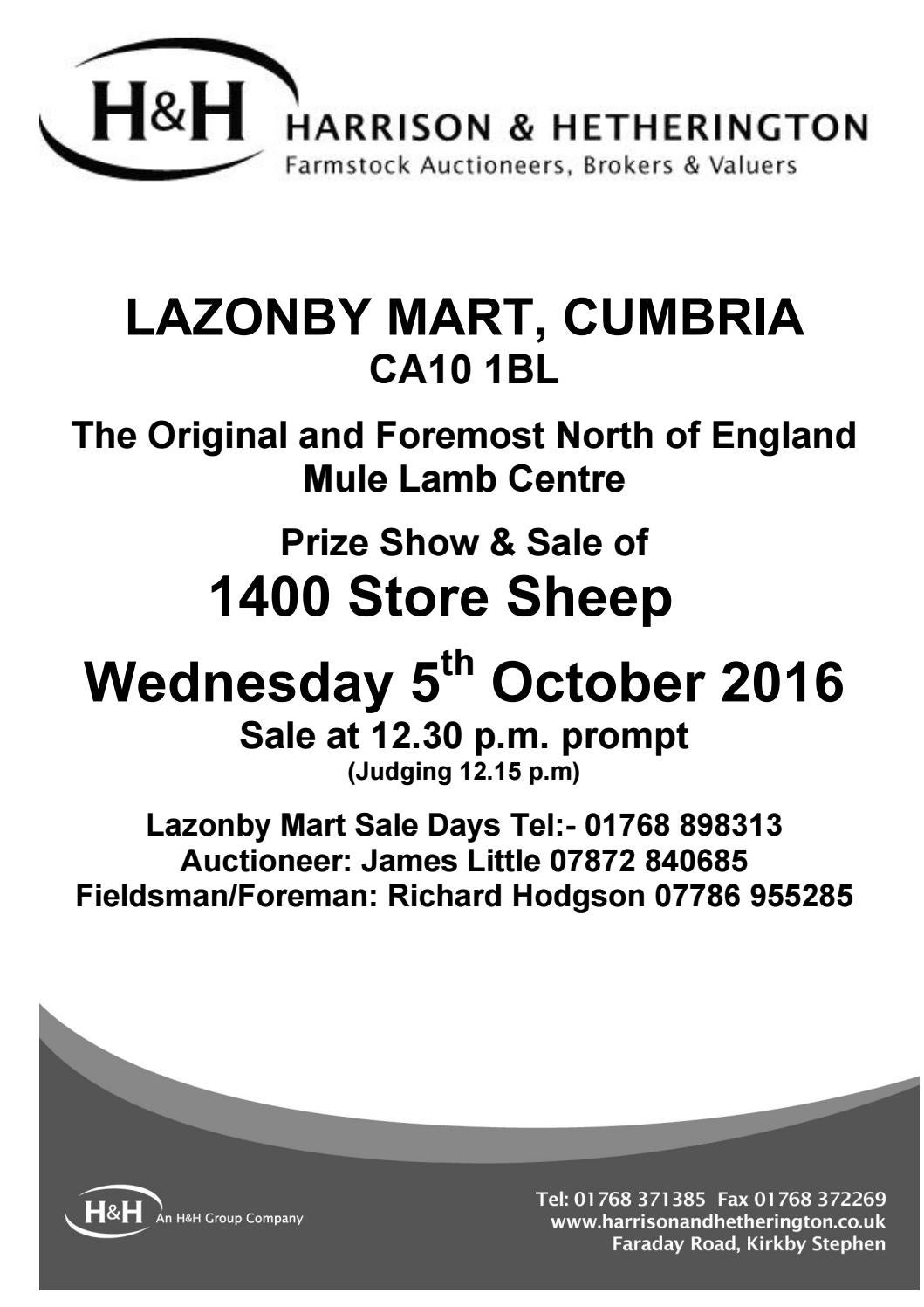 Lazonby Store Sheep Sale 051016 by Harrison & Hetherington Issuu