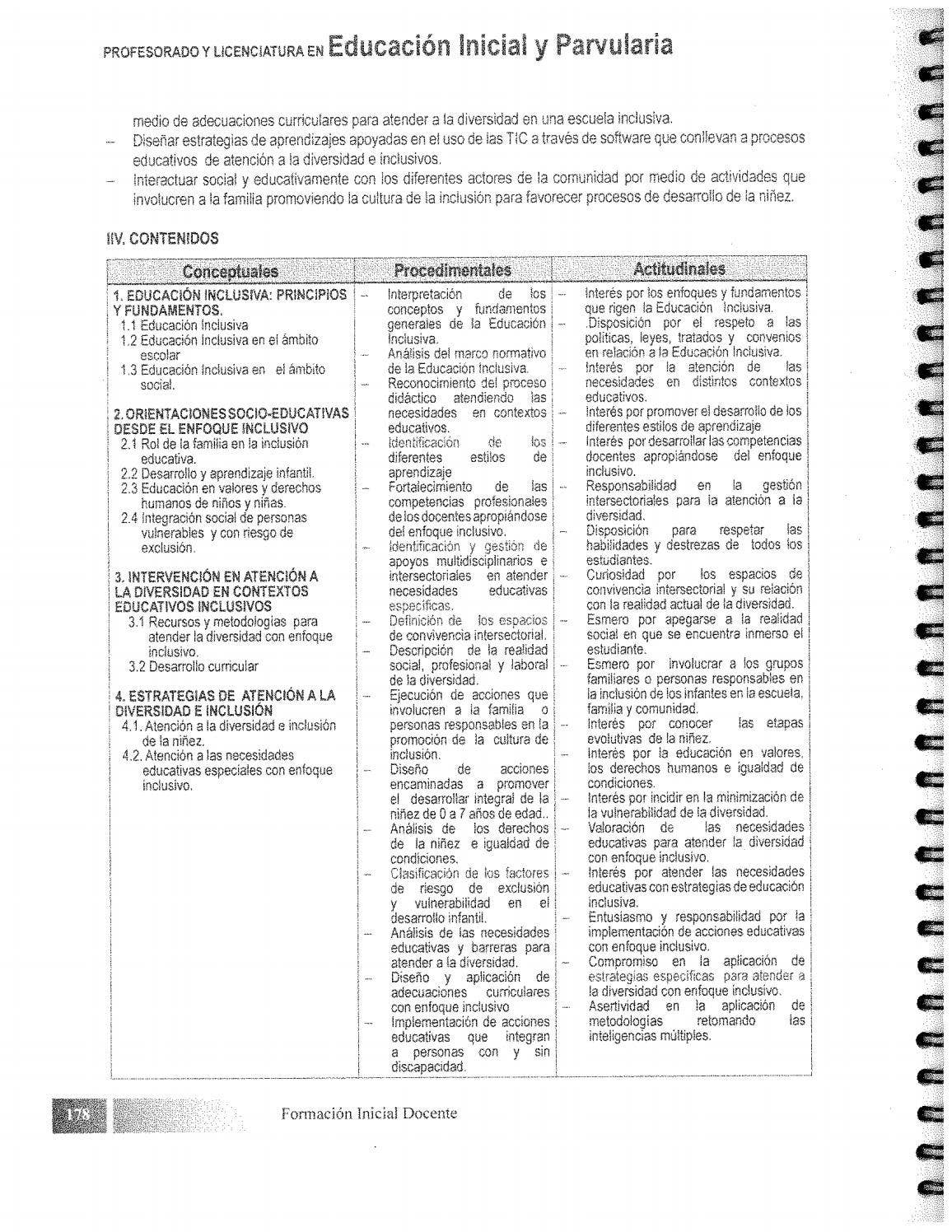 Plan de Estudio del Profesorado y licenciatura en educacion inicial y ...