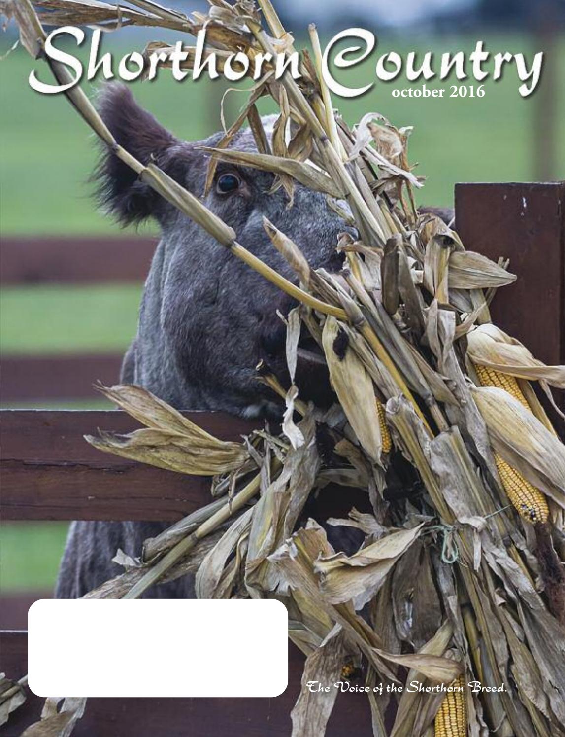 2016 October Shorthorn Country by SCI - Stephanie Cronin, INC - Issuu