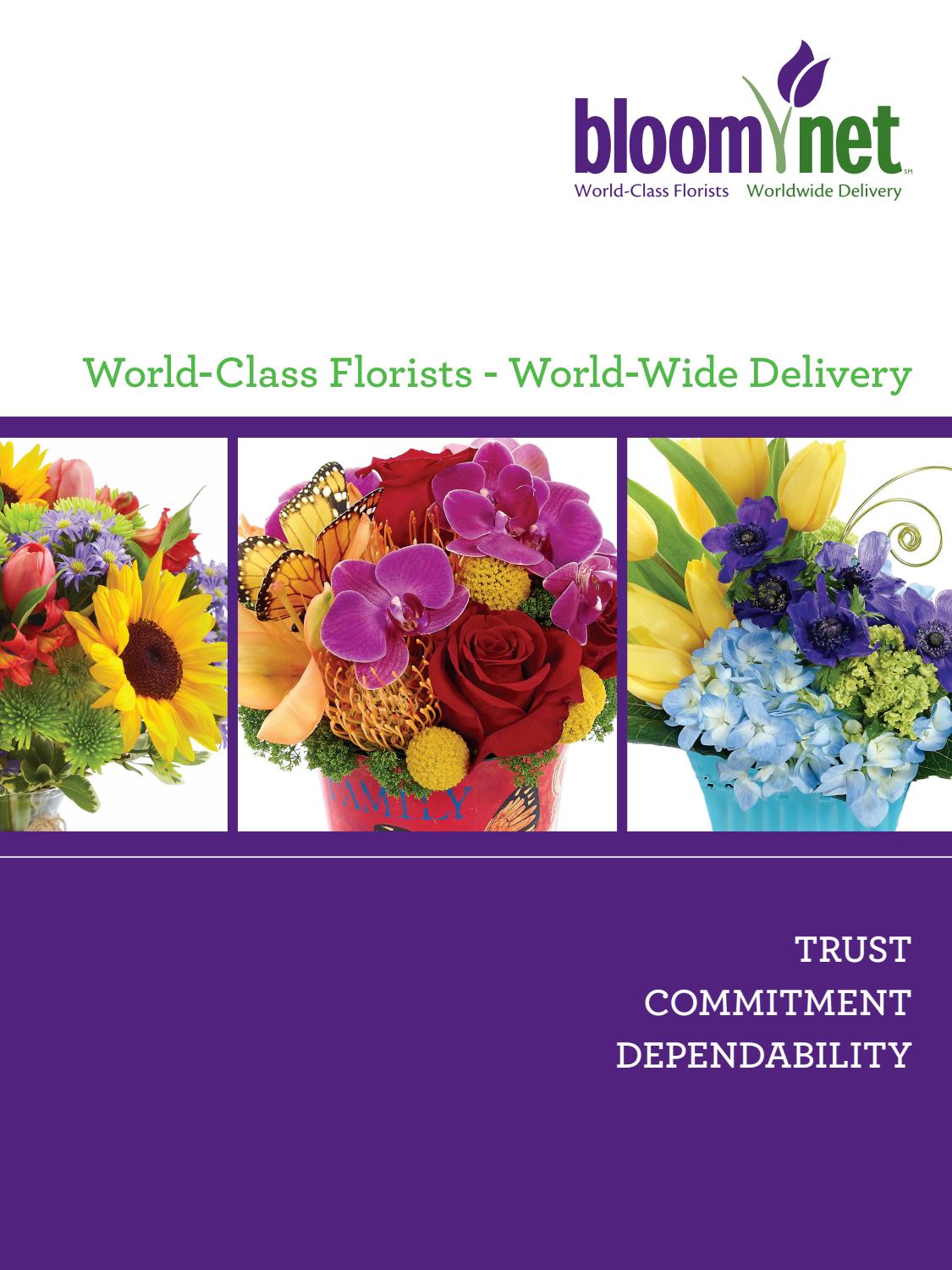 Brochure by Issuu