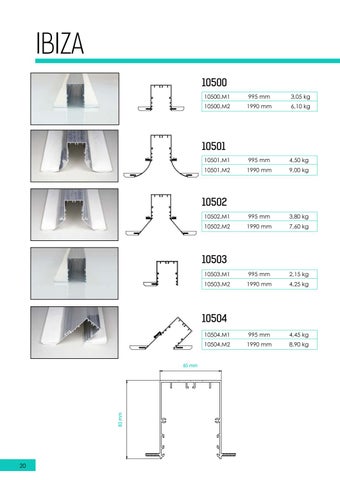 BPM Structural 第 20 页