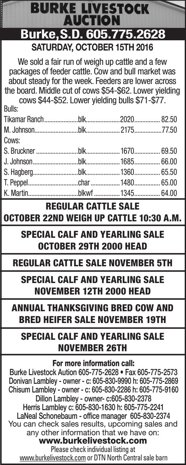 Burke Livestock Auction Market Report 10.17.16 by TriState Livestock