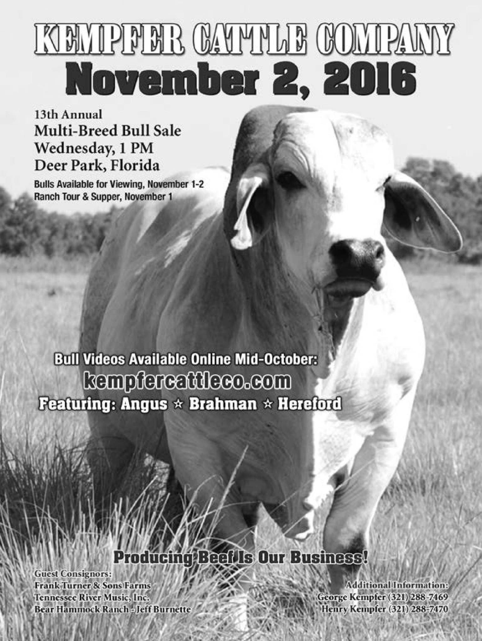 Kempfer Cattle Co. Bull Sale 2016 by Cattle In Motion, LLC Issuu
