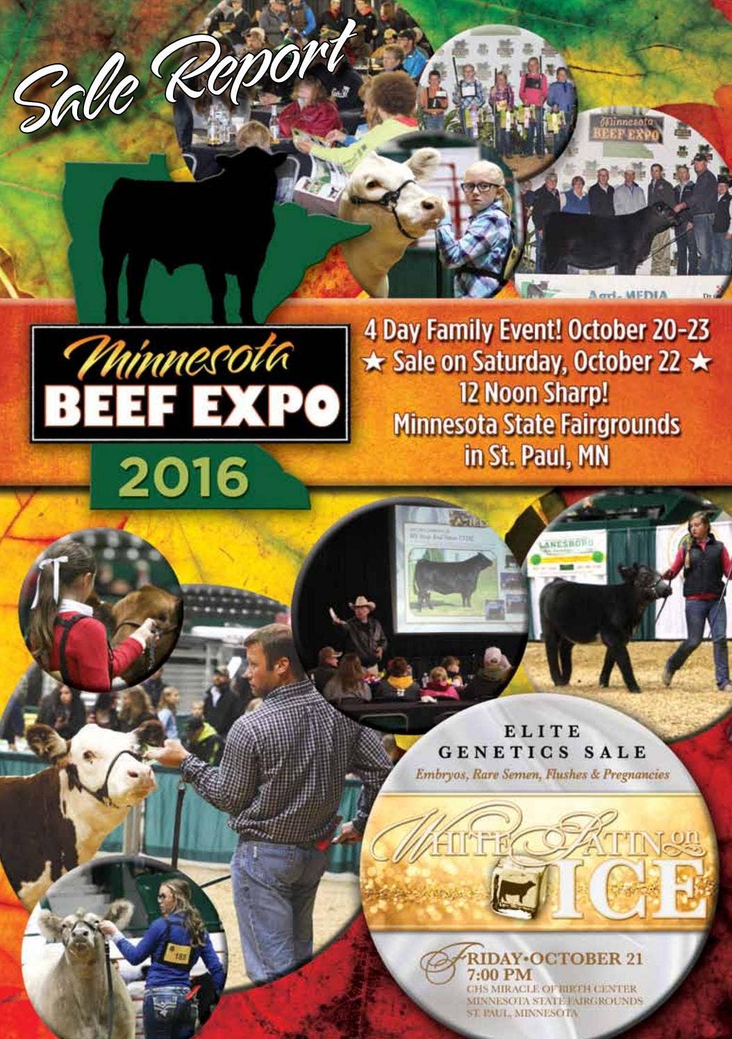 MN Beef Expo Sale Report 2016 by Eberspacher Enterprises Issuu