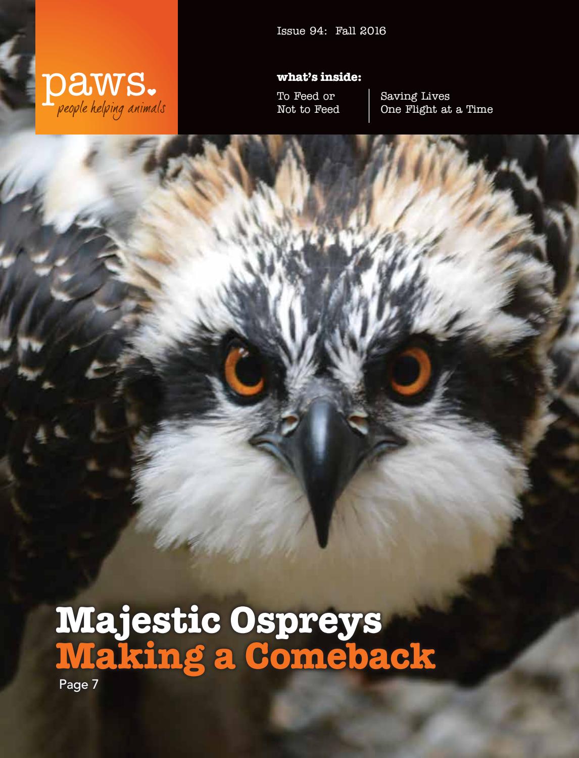 PAWS Magazine, Fall 2016 by PAWS Issuu