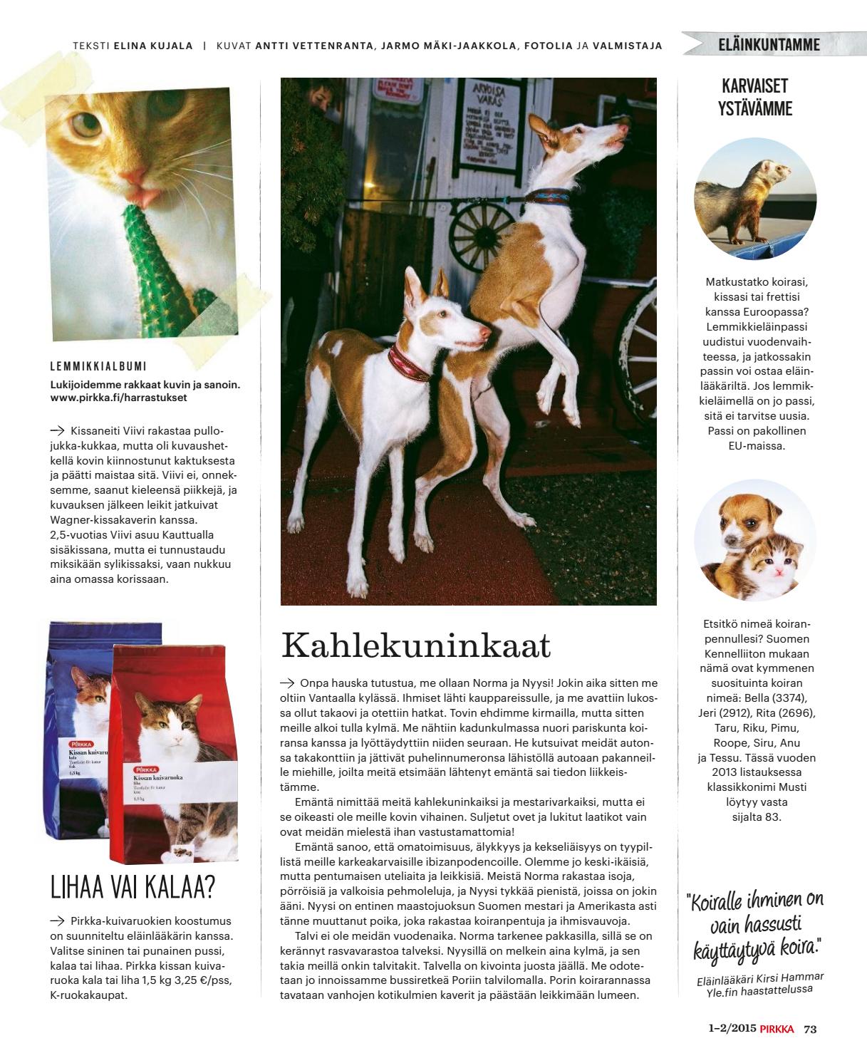 sarja kuva porno videoita RedTube