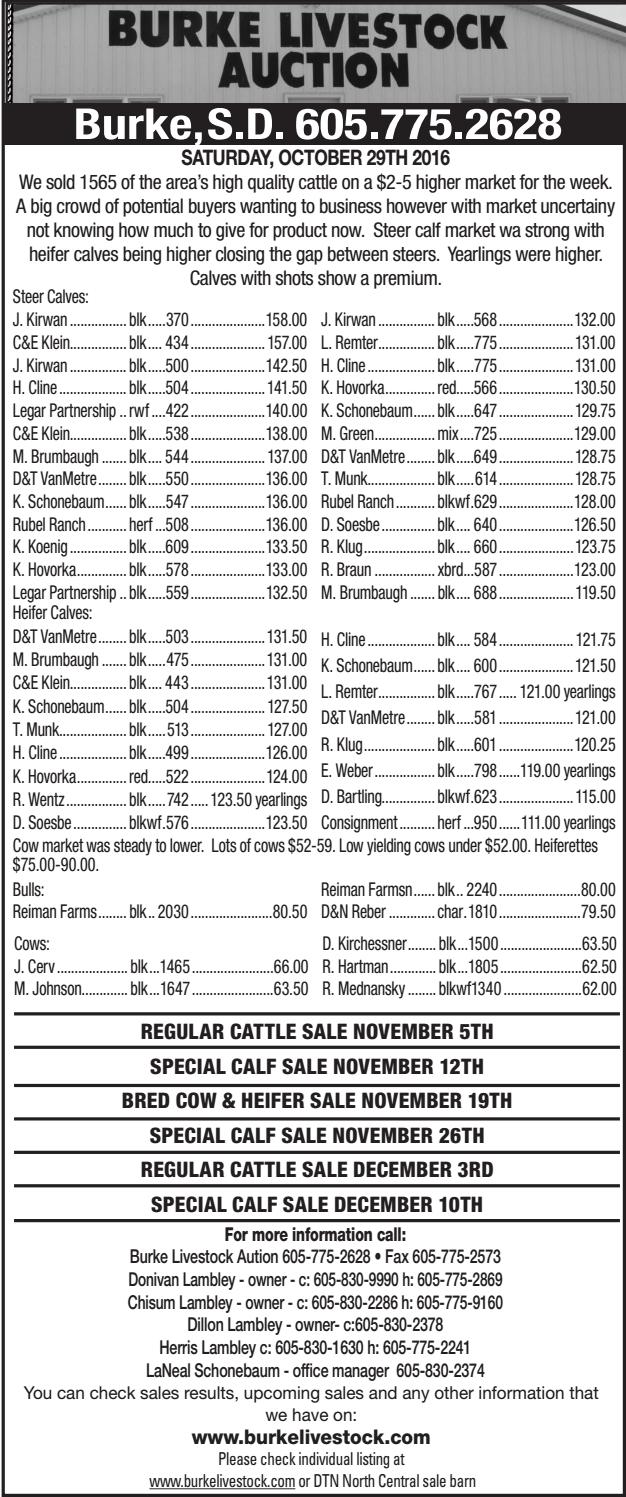 Burke Livestock Auction Market Report 11.1.16 by TriState Livestock