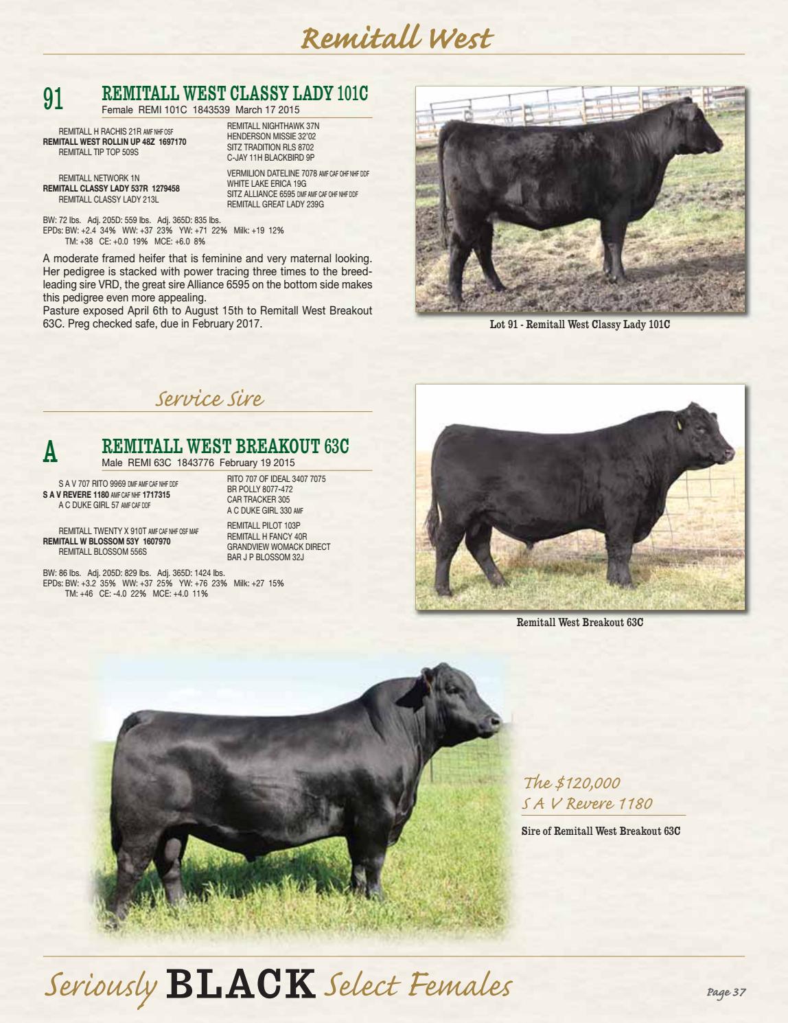 Atlasta Angus Bull and Seriously Black