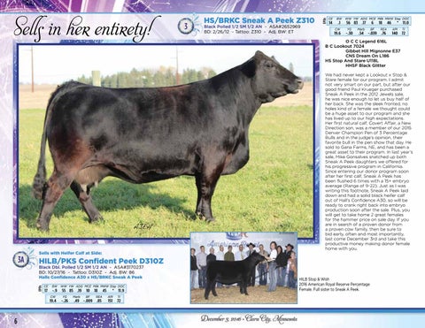 Jewels of the Northland 2016 by Eberspacher Enterprises - Issuu