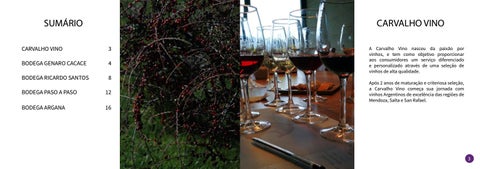 Catalogo Carvalho Vino 第 2 页