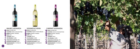Catalogo Carvalho Vino 第 4 页