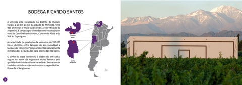 Catalogo Carvalho Vino 第 5 页