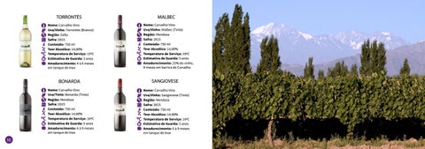 Catalogo Carvalho Vino 第 6 页