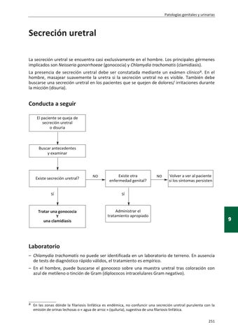 uretritis en hombres jesus es
