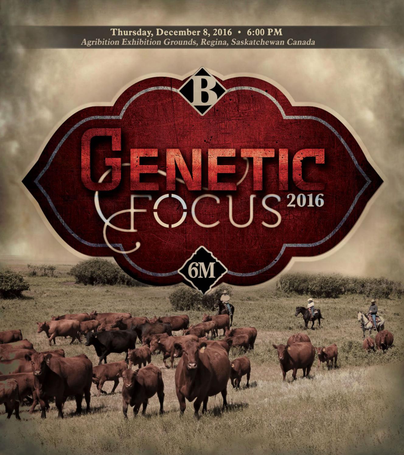 Focus 2016 Sale by Today's Publishing Inc. Issuu