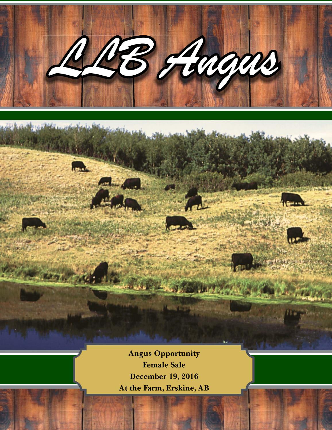 19dec2016 llb catalogue by Today's Publishing Inc. Issuu