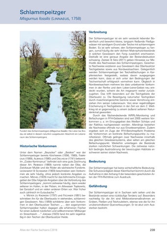 Page 239