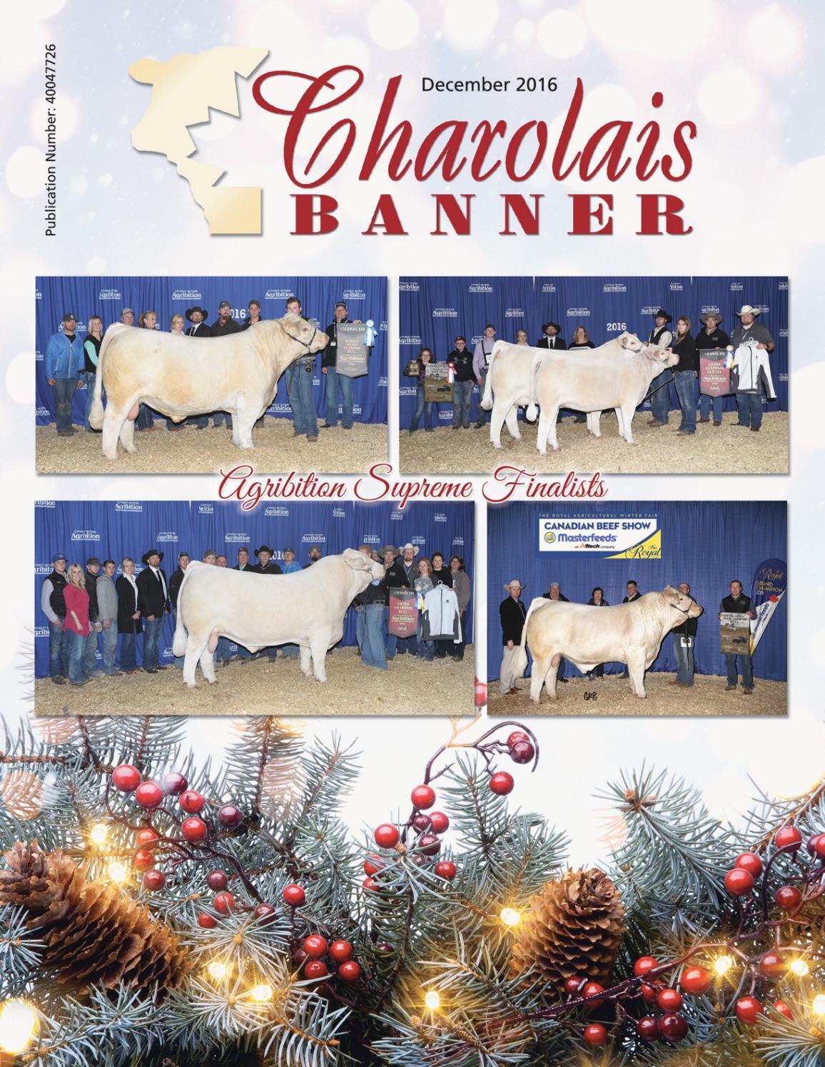 Dec 2016 Charolais Banner Web By Charolais Banner Issuu