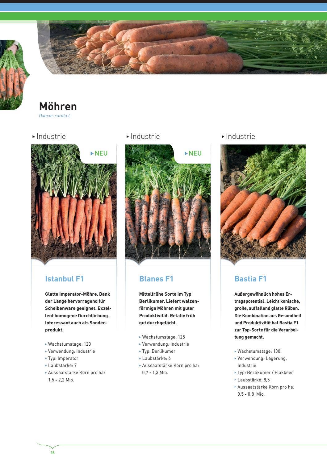 Bejo Samen GmbH Katalog 2016 2018 by Bejo Zaden Issuu