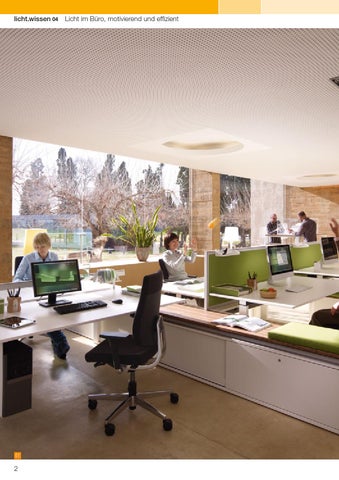 licht.wissen 04 „Licht im Büro, motivierend und effizient“ 第 2 页