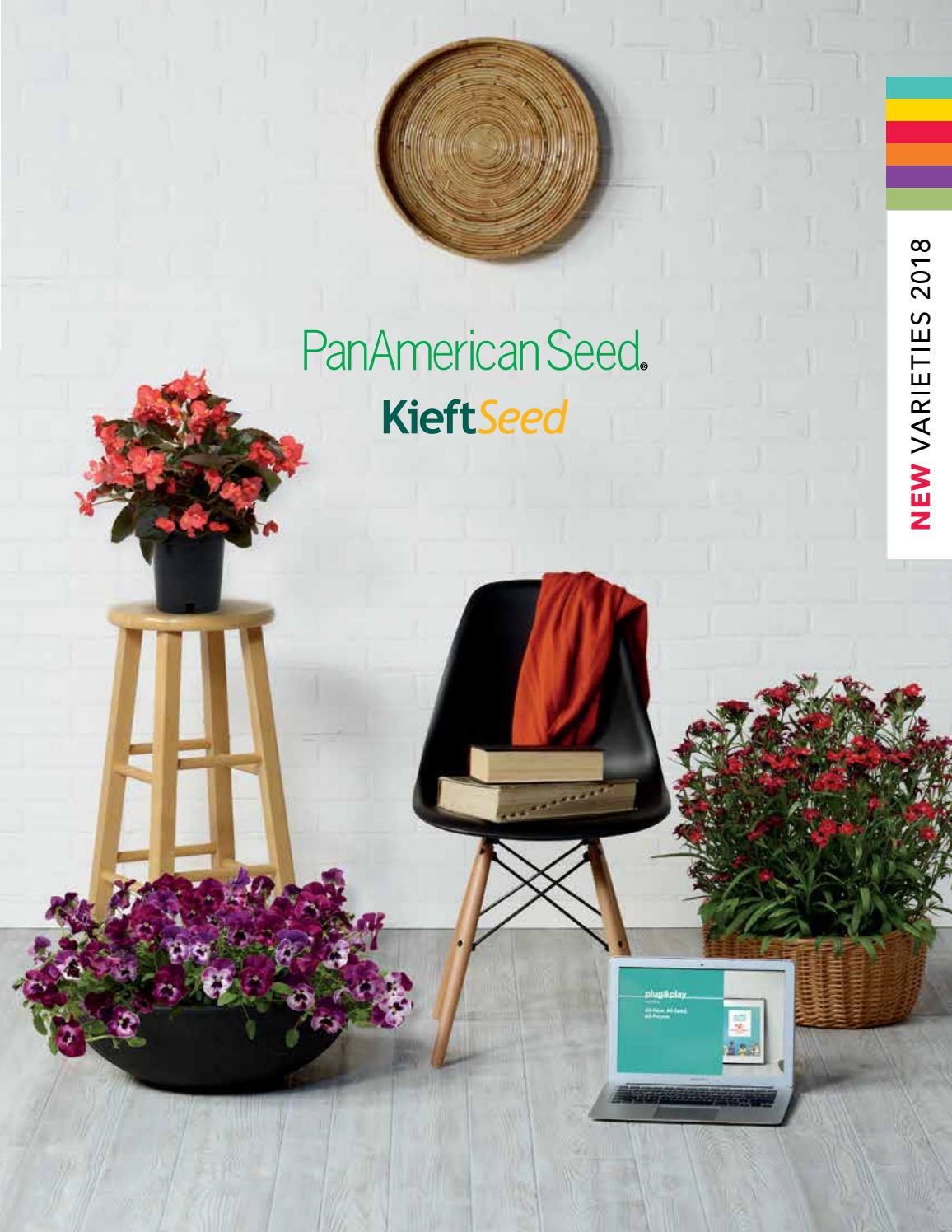 200 Petunia Seeds Pelleted Frost Cherry BULK SEEDS