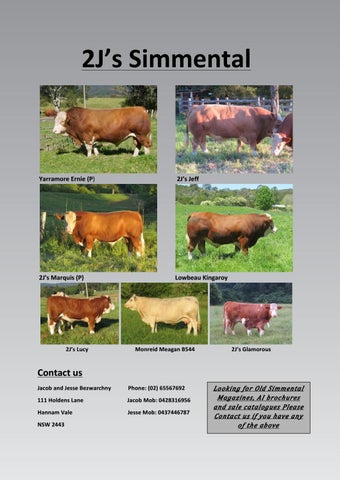 Simmental Summer Magazine 2016 by News Corp Custom Publishing - Issuu
