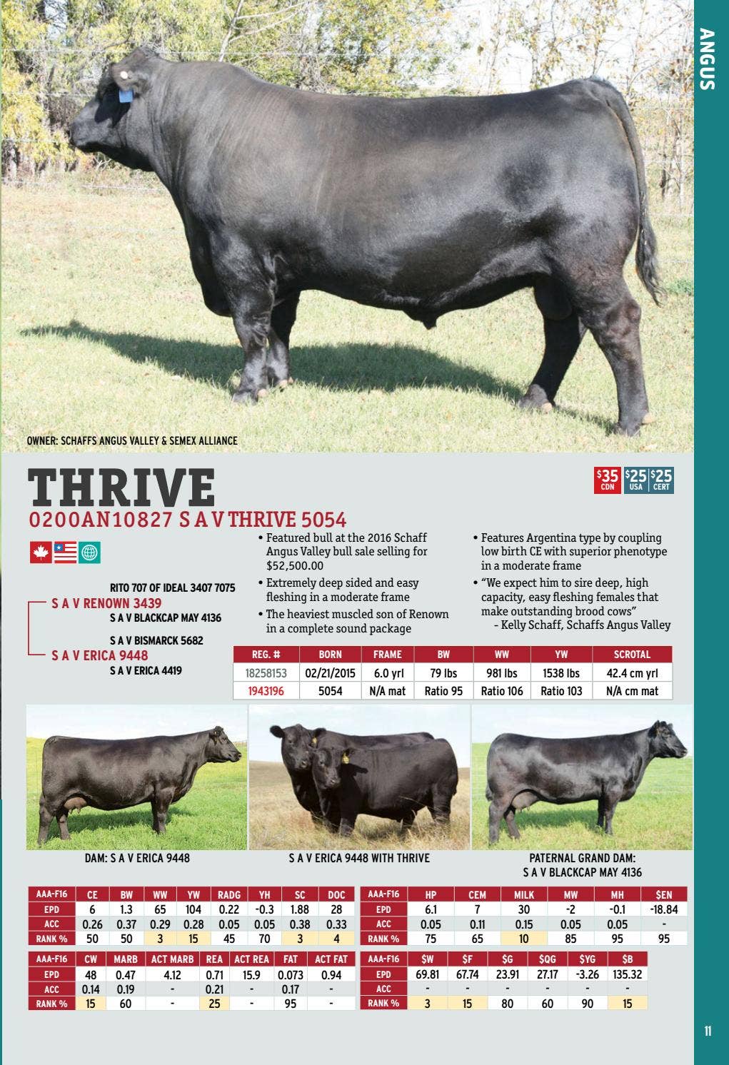 2017 International Semex Beef Catalogue by Semex - Issuu