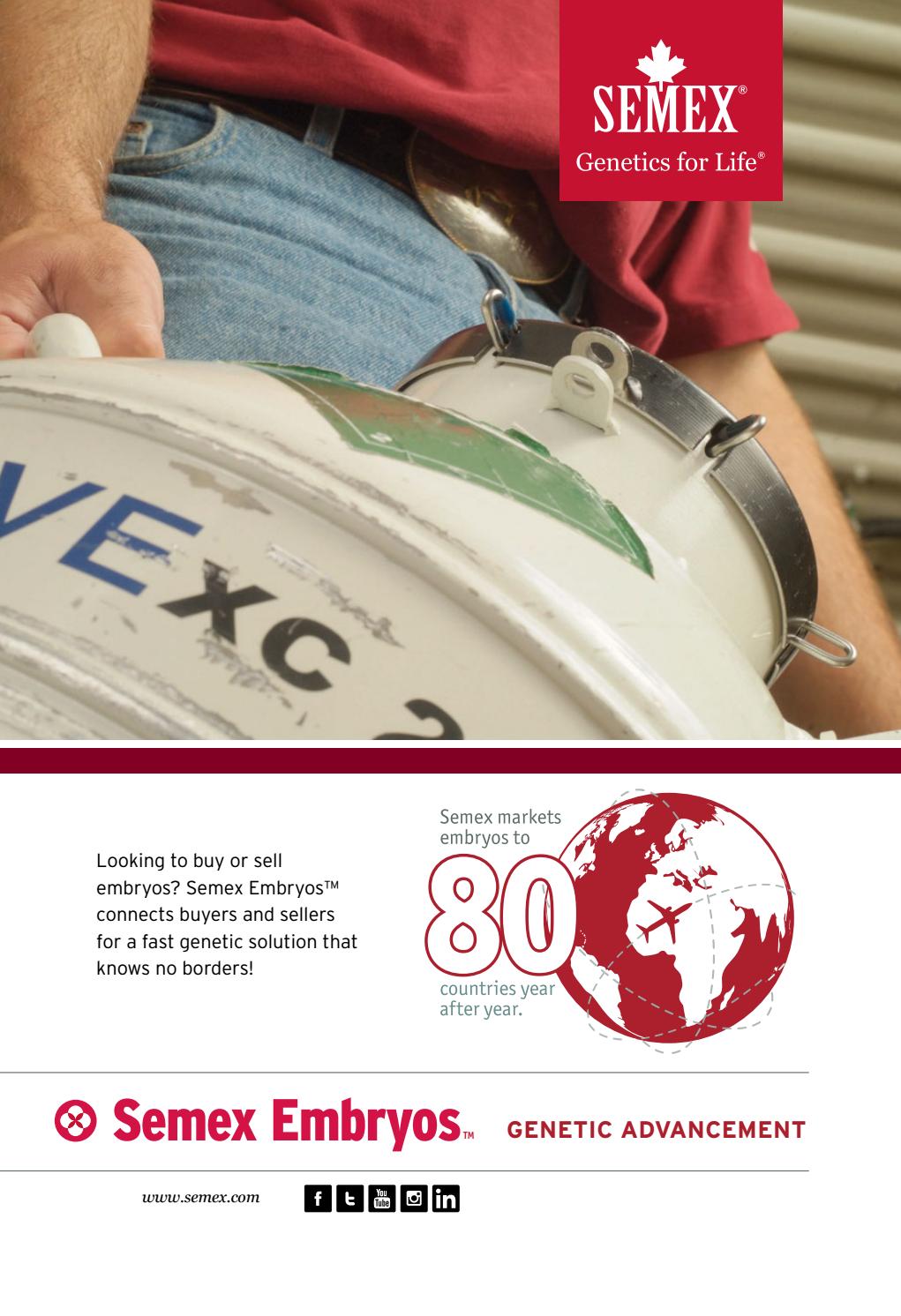 2017 International Semex Beef Catalogue by Semex Issuu
