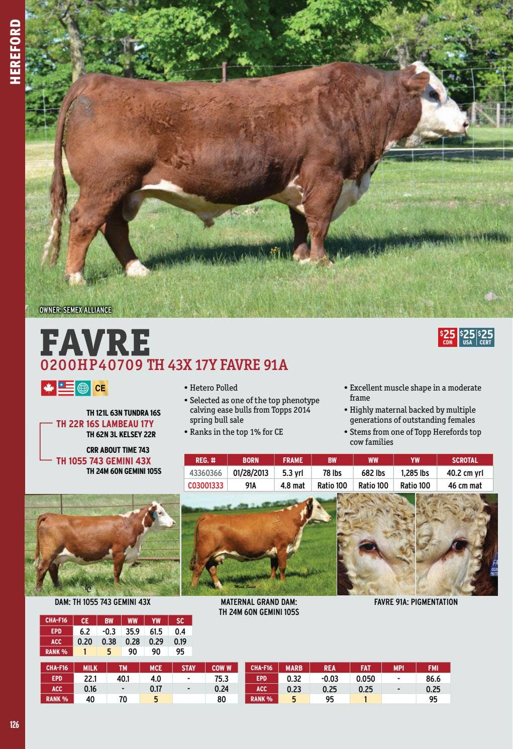 cowページ Z Tags 1 pc Cow Printed tag (25 units-pkg) — Huber Ag