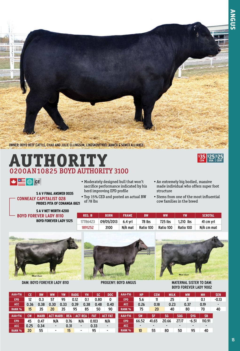 2017 International Semex Beef Catalogue by Semex - Issuu