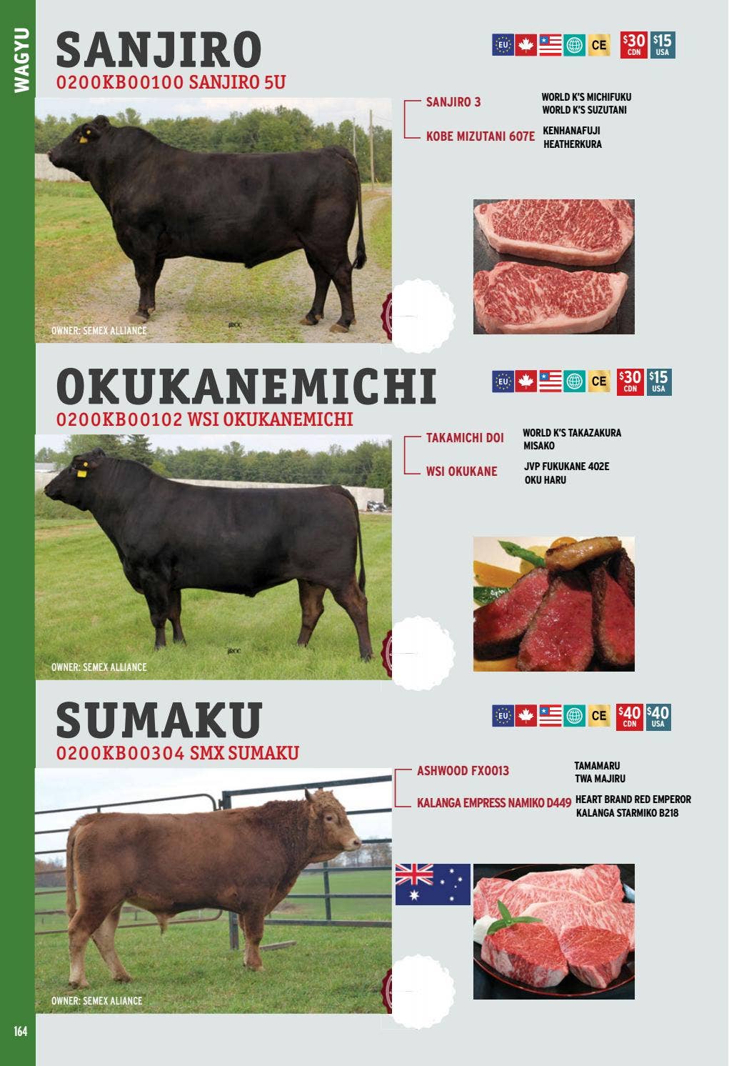 page_164_social_preview.jpg