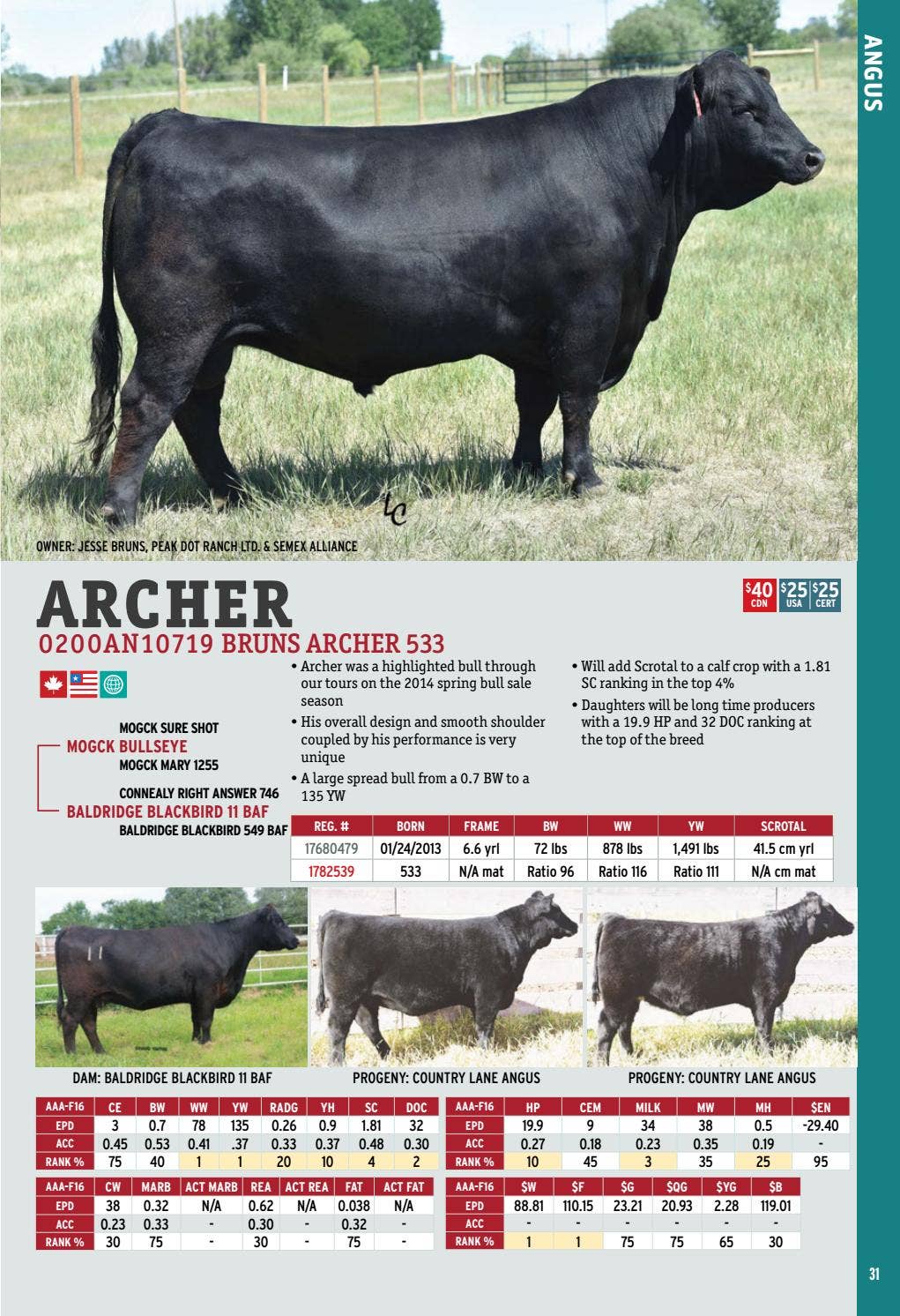 2017 International Semex Beef Catalogue by Semex - Issuu