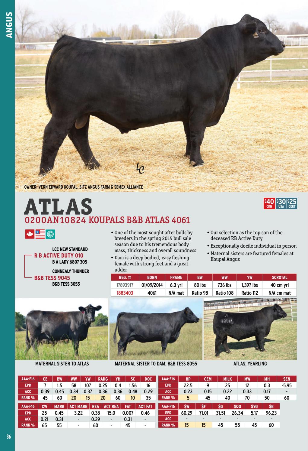 2017 International Semex Beef Catalogue by Semex - Issuu