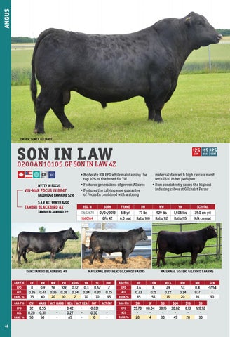 2017 International Semex Beef Catalogue by Semex - Issuu