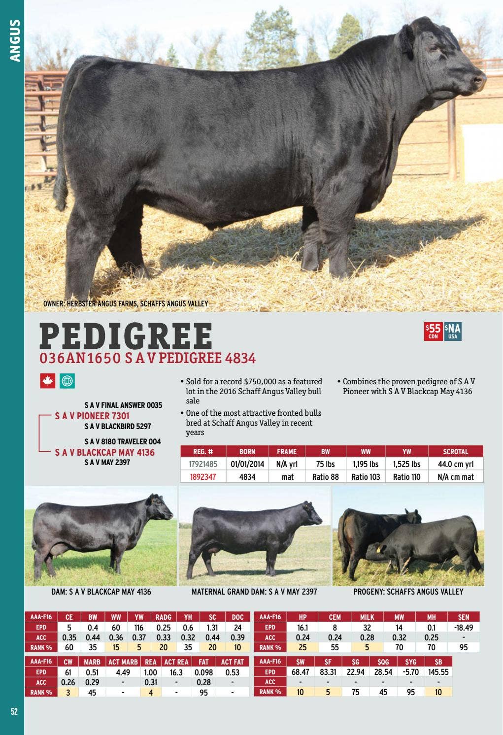 2017 International Semex Beef Catalogue by Semex - Issuu