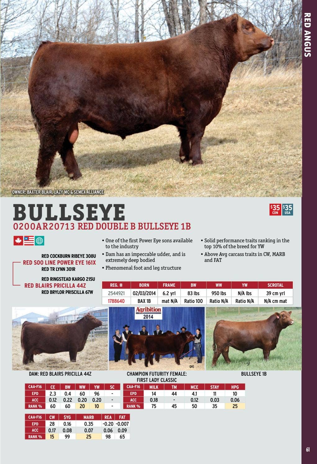 2017 International Semex Beef Catalogue by Semex - Issuu
