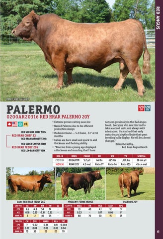 2017 International Semex Beef Catalogue by Semex - Issuu