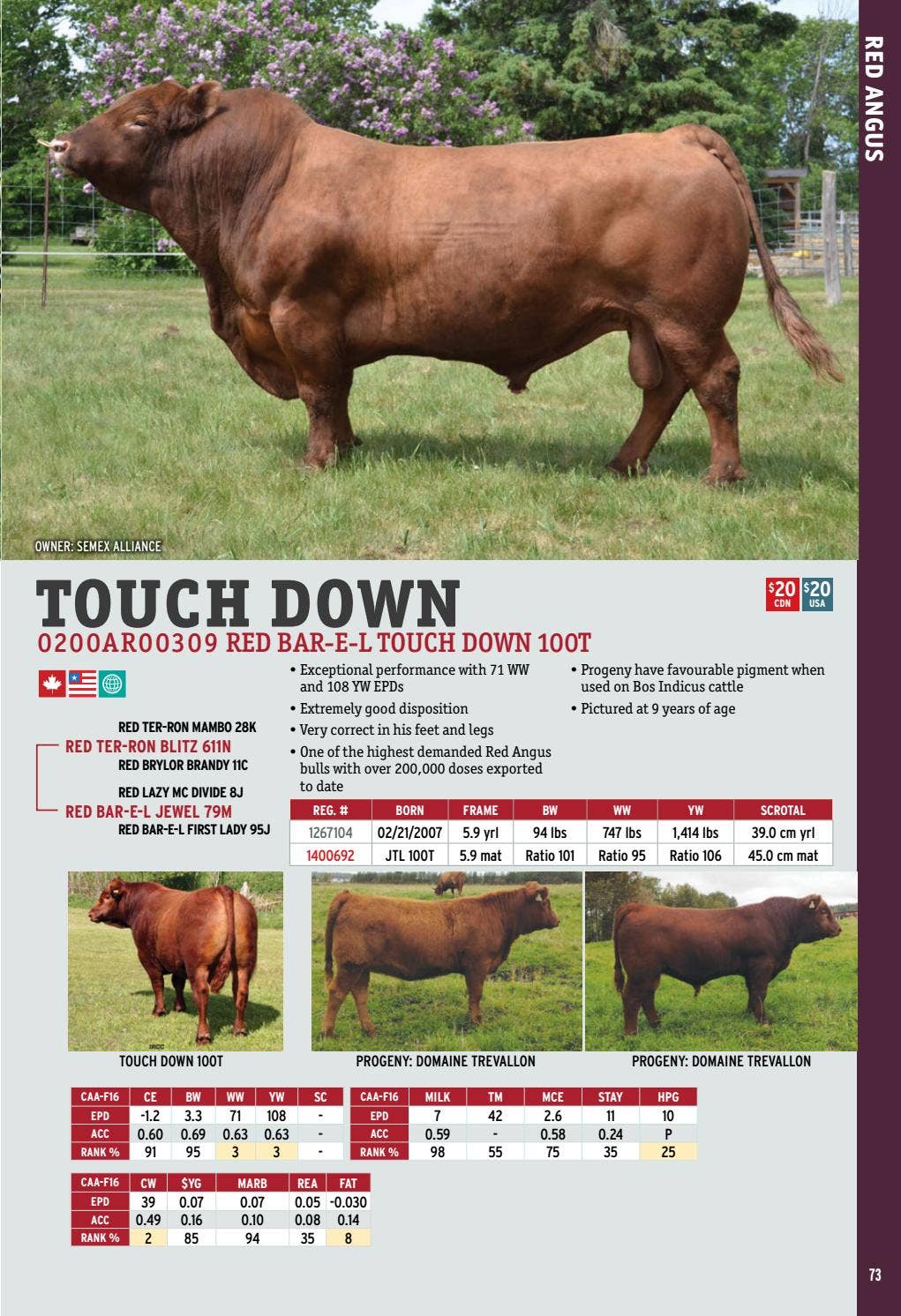 2017 International Semex Beef Catalogue by Semex - Issuu
