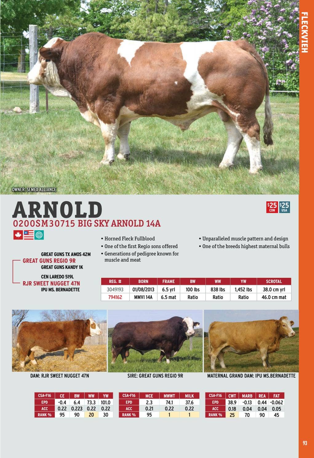 2017 International Semex Beef Catalogue by Semex - Issuu