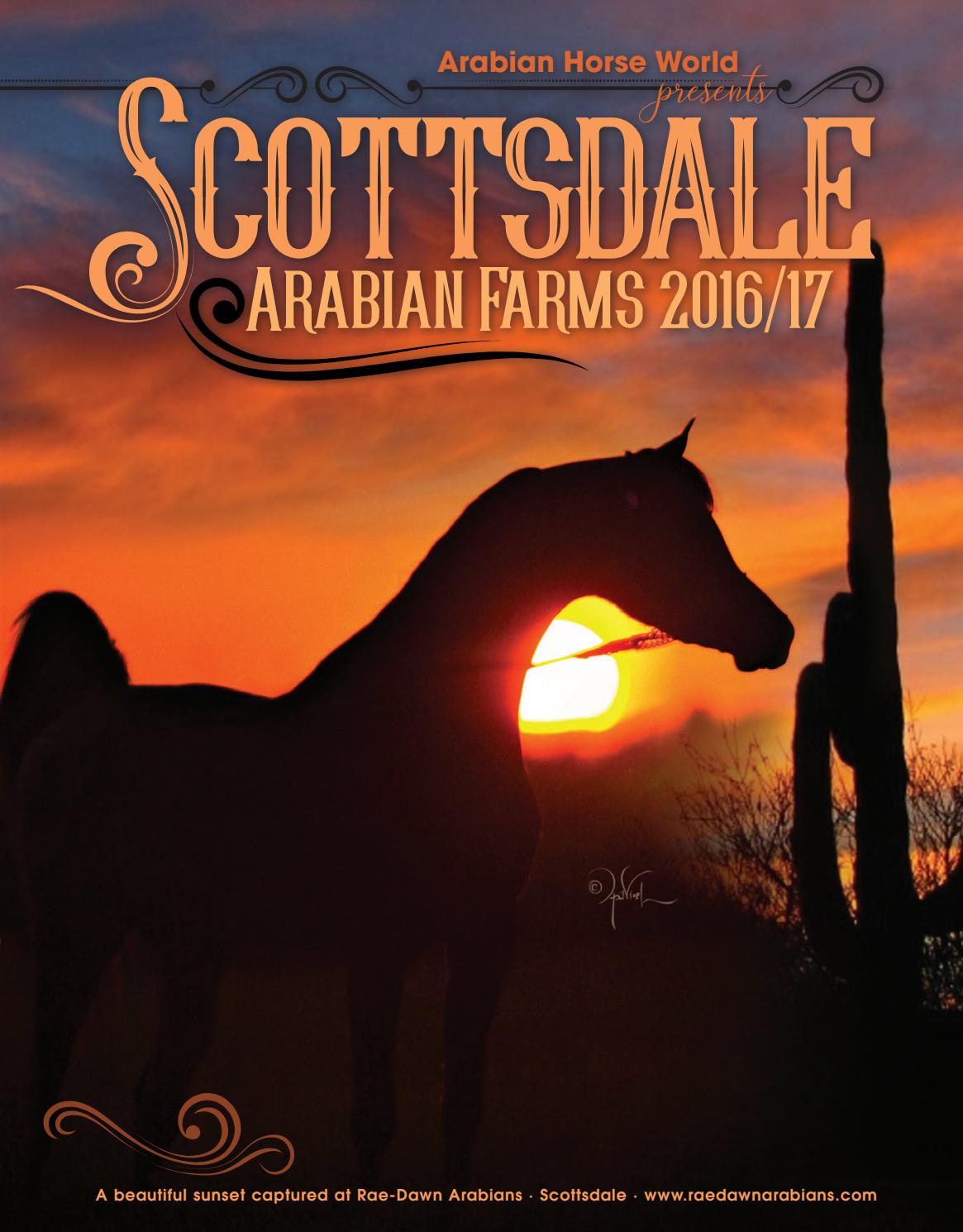 Scottsdale Arabian Farms 20162017 by Arabian Horse World Issuu