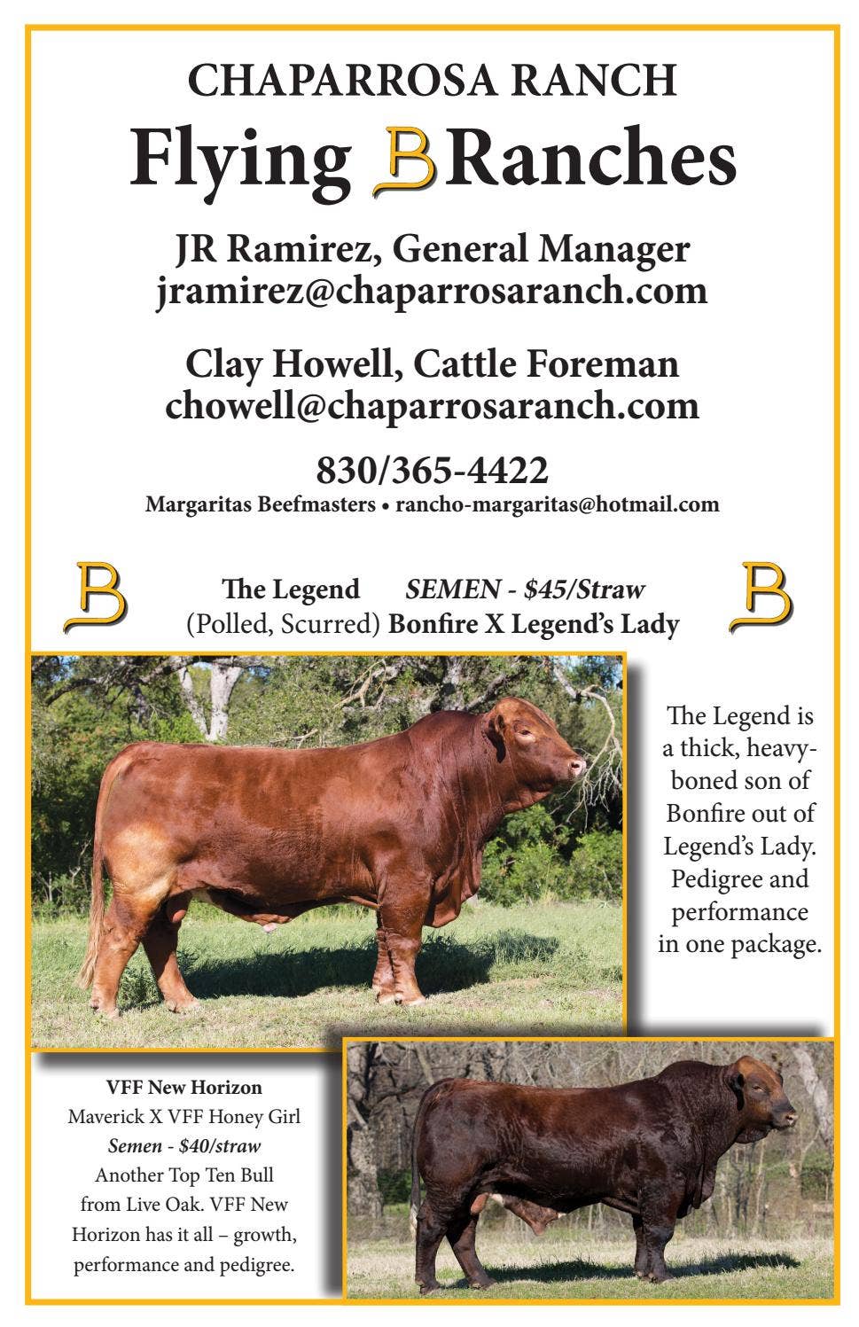 The Banner - Beefmaster Seedstock Directory 2017 by Beefmaster Breeders ...
