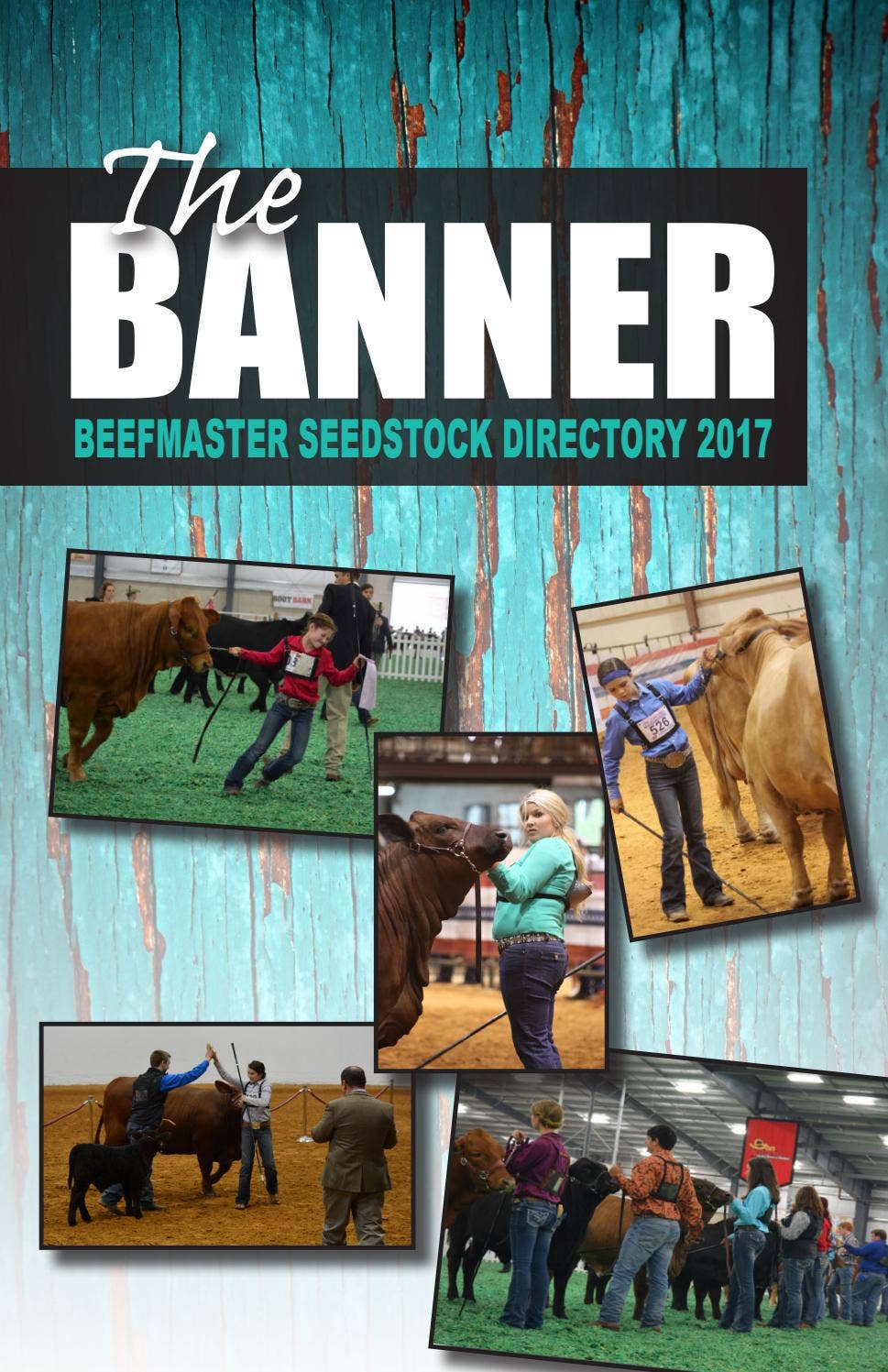 The Banner - Beefmaster Seedstock Directory 2017 by Beefmaster Breeders ...