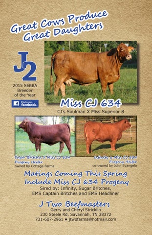 The Banner - Beefmaster Seedstock Directory 2017 by Beefmaster Breeders ...