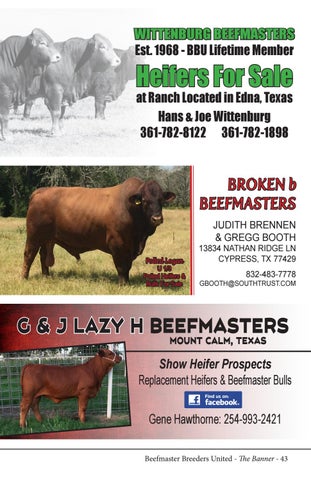 The Banner - Beefmaster Seedstock Directory 2017 by Beefmaster Breeders ...