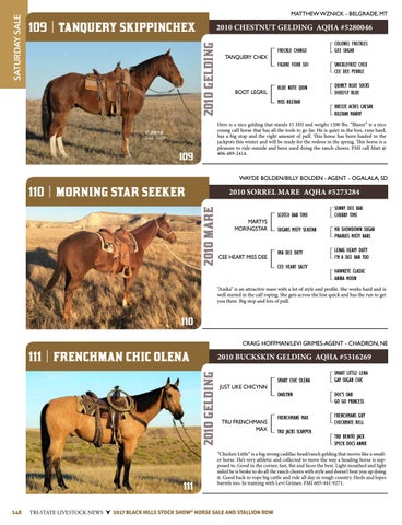 2017 Black Hills Stock Show & Rodeo | Horse Sale & Stallion Row by Tri ...