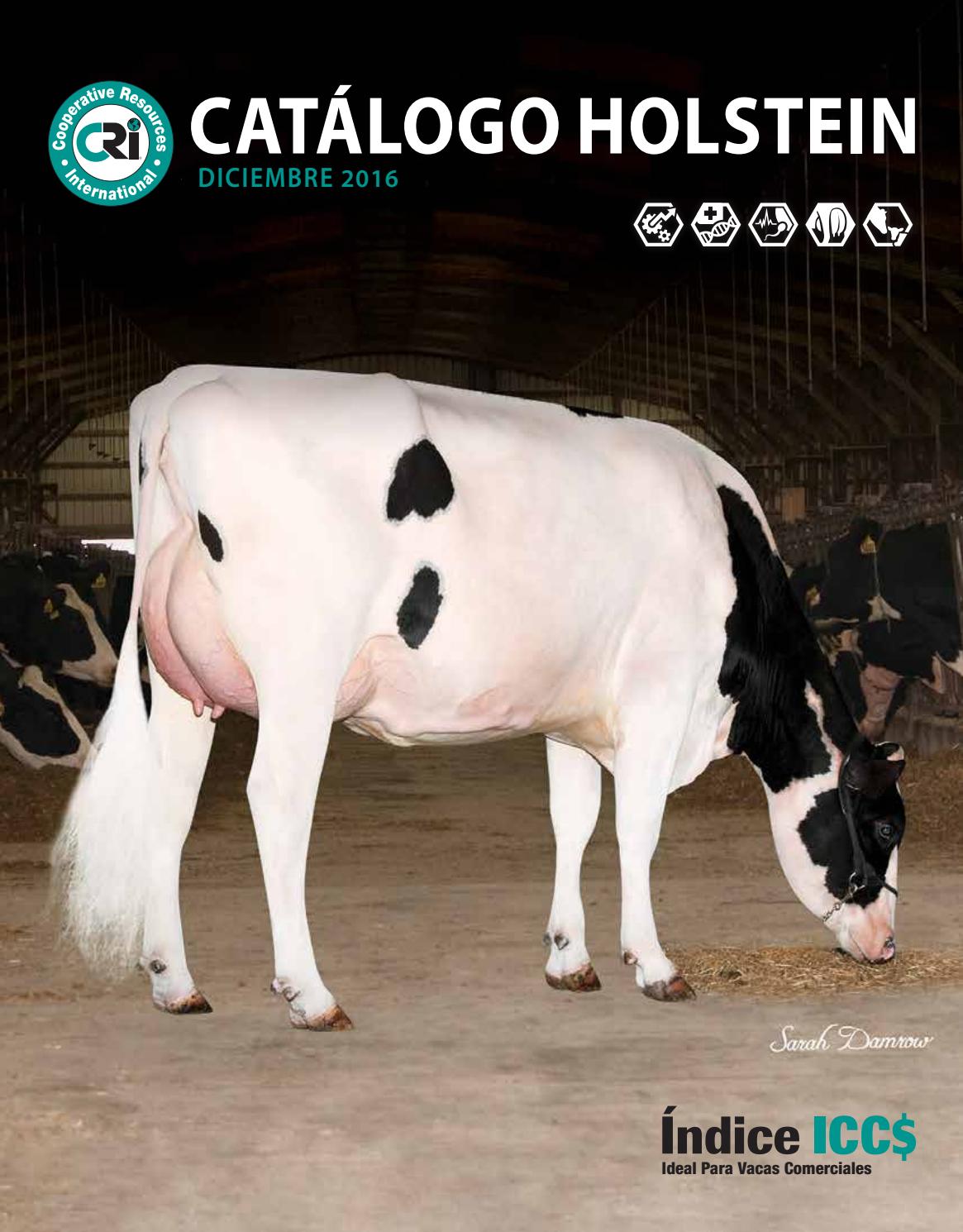 CRI Spanish Holstein Catalog by GENEX Issuu