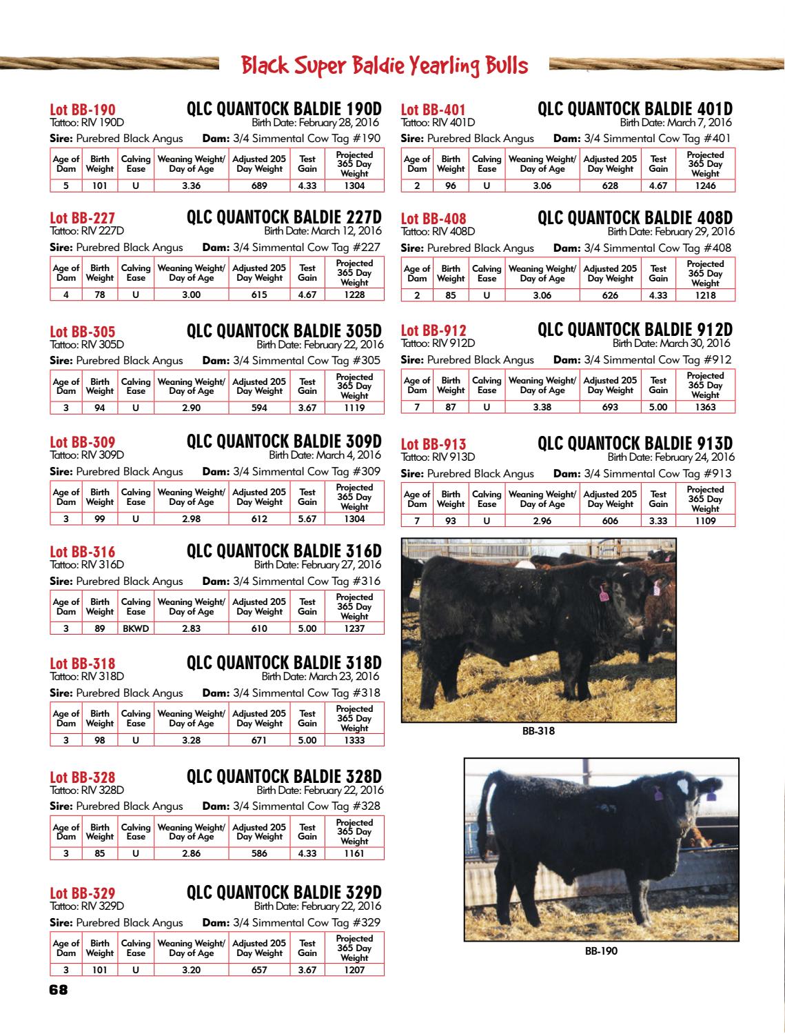 Mc Quantock Bull Sale By Today S Publishing Inc Issuu