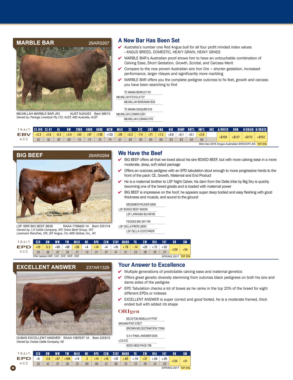 Spring 2017 Beef Sire Directory by ABS Global, Inc. Issuu